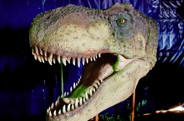 Der  Tyrannosaurus Rex darf nicht fehlen.   | Foto: Veranstalter