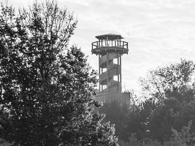 Der Holzturm am Seepark (Archivfoto)  | Foto: Carlotta Huber