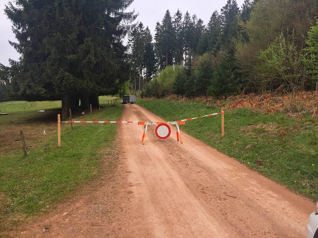 Derzeit gesperrt &#8211; der umstrittene Waldweg.   | Foto: Privat