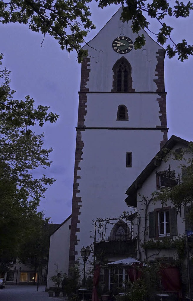 Moniert wurde bei den Unabhngigen die...enden Bume ins rechte Licht rckten.   | Foto: Hans-Jrgen Hege