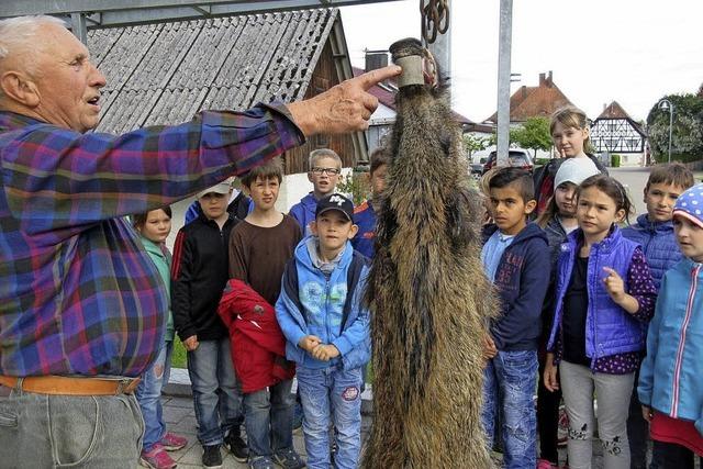 Plastikrohr wird zum Verhngnis