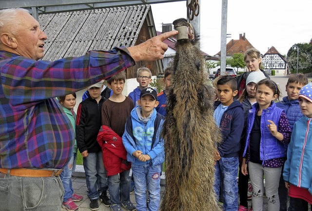 Gespannt verfolgten die Kinder der Nor...fseher Trudpert Schtzle nahe brachte.  | Foto: Reiner Merz