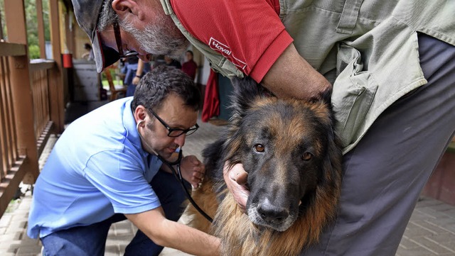 Schferhund Rex wird von Tierarzt Albe...ntersucht und schaut etwas skeptisch.   | Foto: Martin Eckert