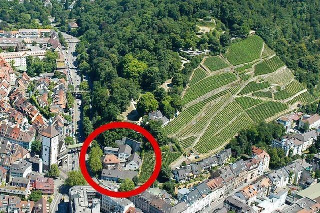 So abgespact würden Jugendliche die Schlossbergnase in Freiburg bebauen