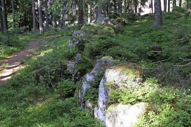 Zu Steinkreisen in Schluchsee
