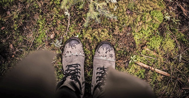 Der Wald ist das Fotorevier von Dominika Klos.   | Foto: Dominika Klos