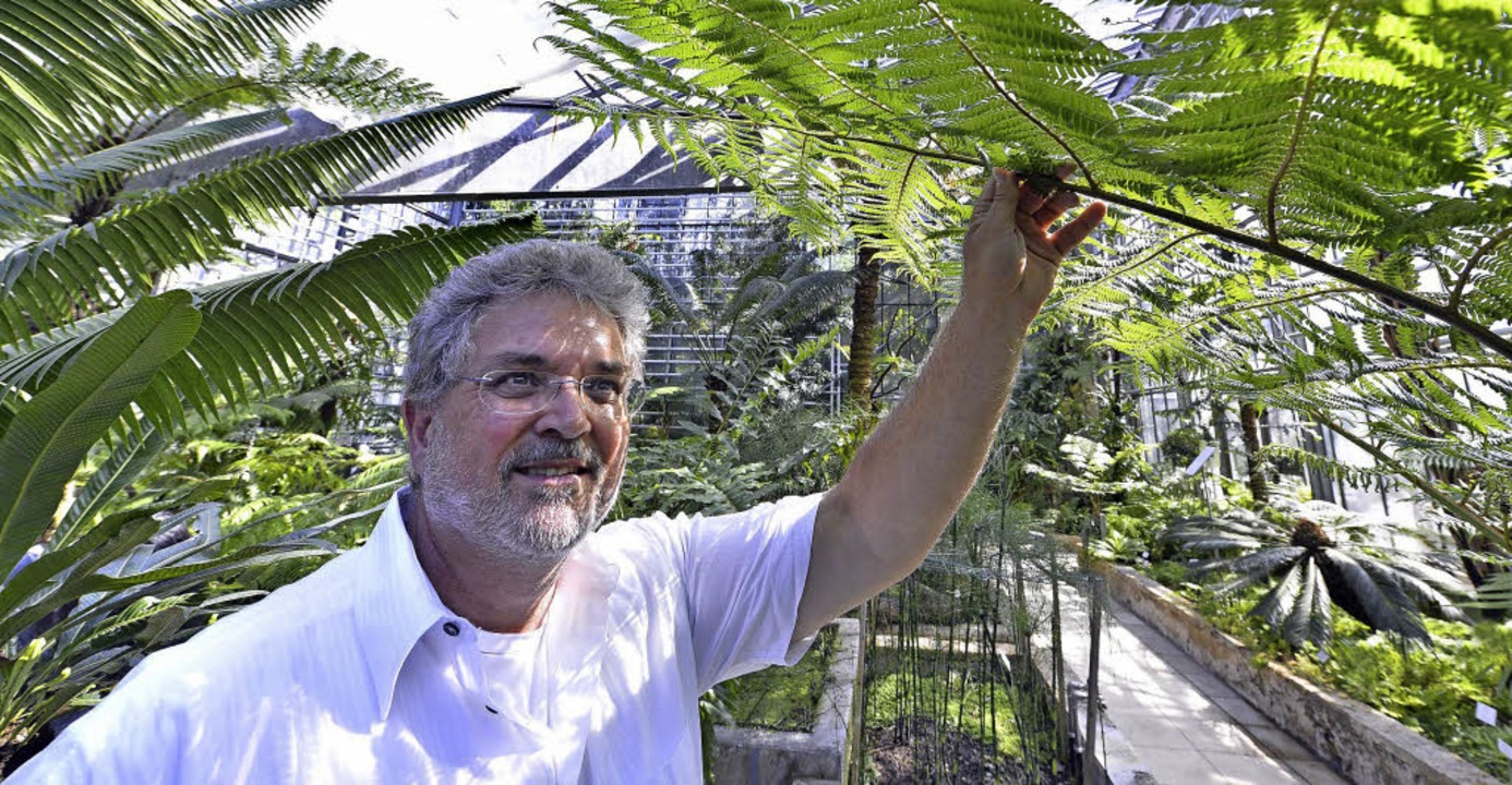 Renovierte Gewachshauser Im Botanischen Garten Sind Wieder