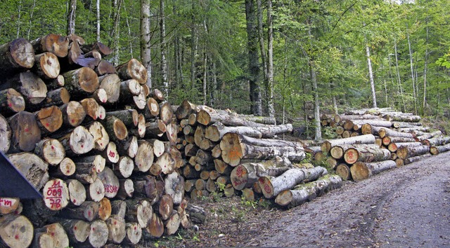 Eine Holzgenossenschaft soll die Verma...h dem Kartellurteil neu organisieren.   | Foto: Ulrike Spiegelhalter