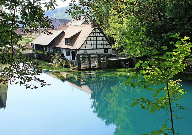 Der Blautopf ist ein Hhepunkt  der Do... Karstquelle leuchtet strahlend blau.   | Foto: dpa