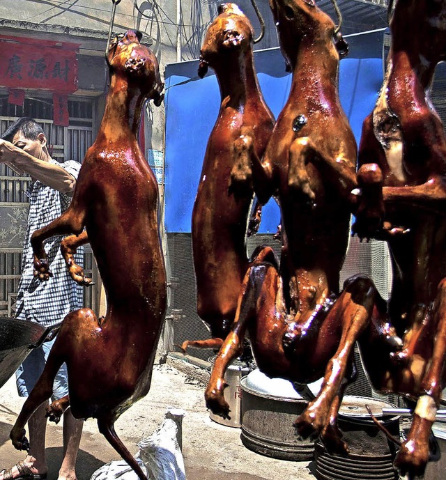 Hundefleisch in Yulin   | Foto: dpa