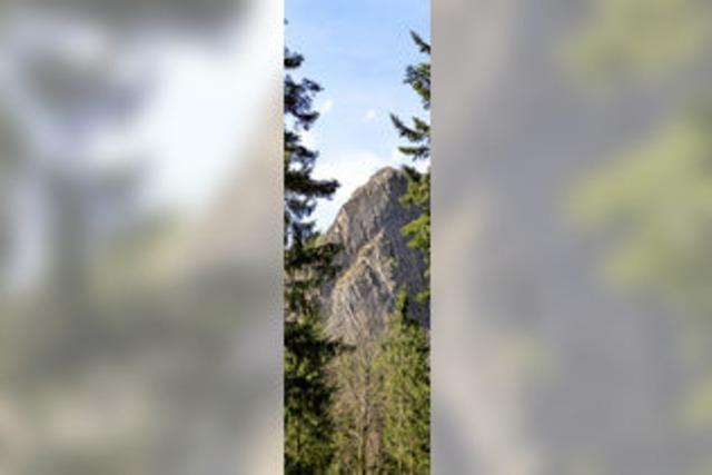 Mnstertal: Wildnispfad zum Scharfenstein