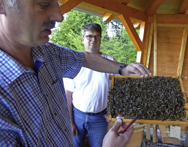 Zurzeit verspren die Bienen nur wenig...pel. Im Hintergrund Vize Arno Schlke   | Foto: Jochen Fillisch