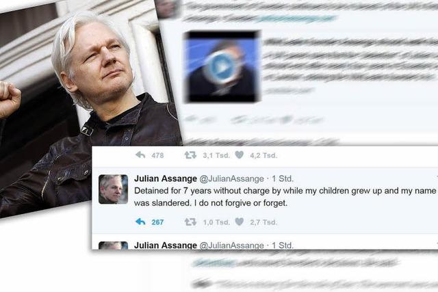 Julian Assange ist theoretisch ein freier Mann