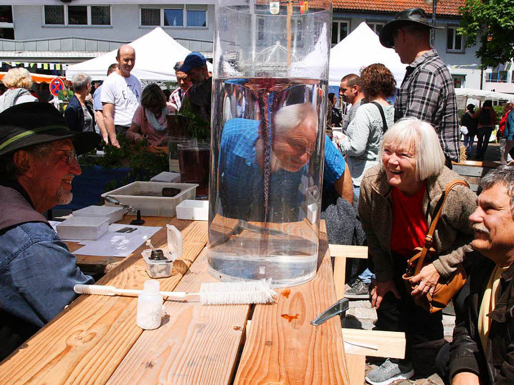 Vieles zu sehen und zu bestaunen gab es am Sonntag in Grwihl. Peter Schtz hat das Marktgeschehen fotografiert.