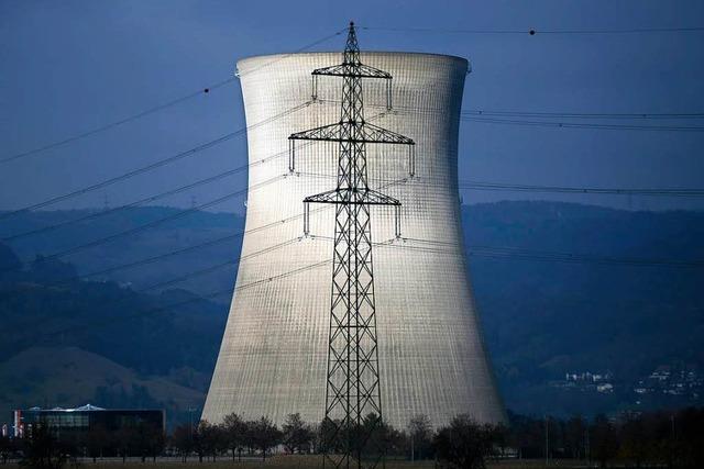 Schweizer stimmen fr Atomausstieg