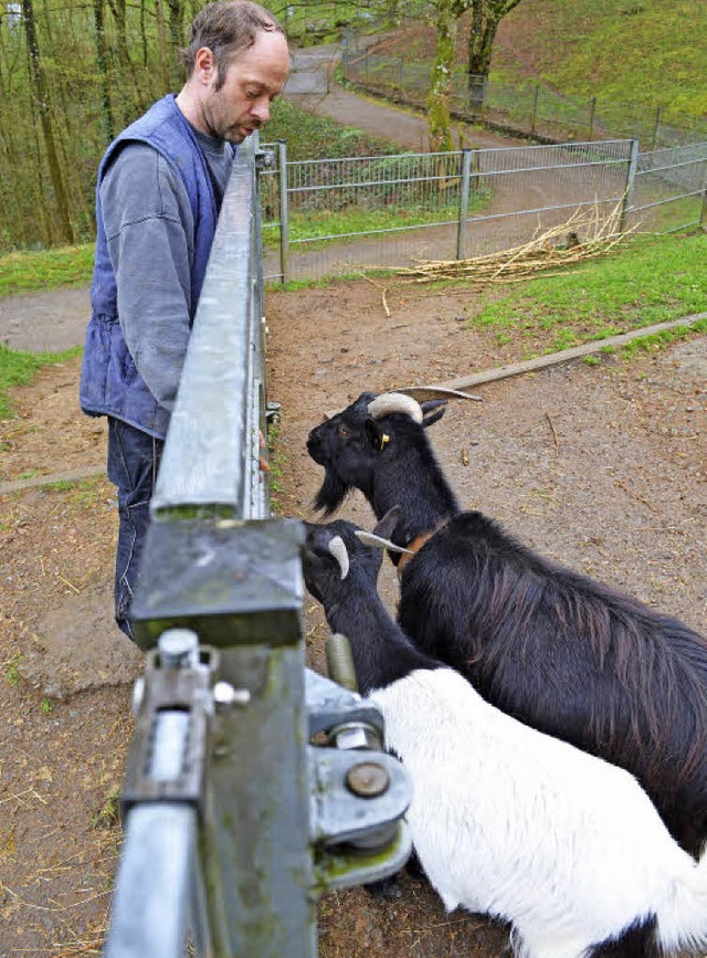 Man kennt und mag sich gegenseitig im ... und &#8222;seine&#8220; Zwergziegen.   | Foto: Nikolaus Bayer