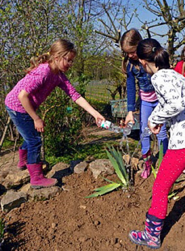 Wasser marsch: Der Arbeitskreis Natur ...nbergschule  ein Kruterbeet angelegt.  | Foto: Ingo Kramer