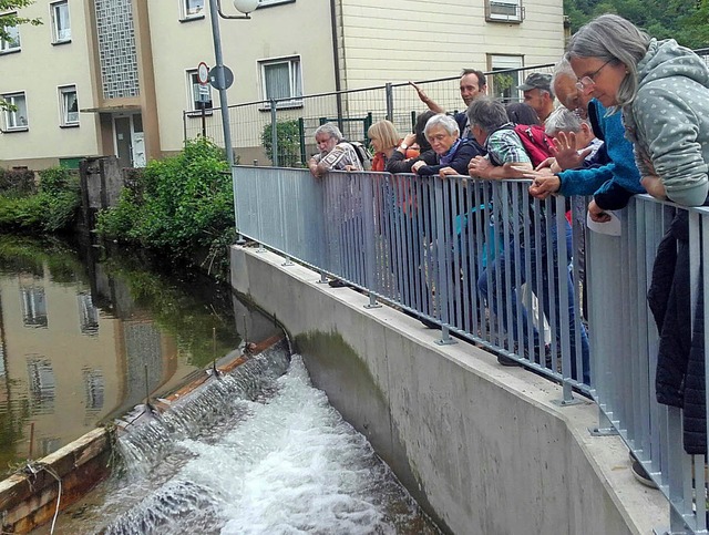 Nachhaltigkeitsspaziergang: Andreas Sp...en Wasserkraftwerkes am Gewerbekanal.   | Foto: Matthias Ntzscher