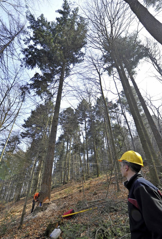 Nur mit einem Umsatz von mehr als 1500...chaft   auf dem Holzmarkt mithalten.    | Foto: Michael Bamberger