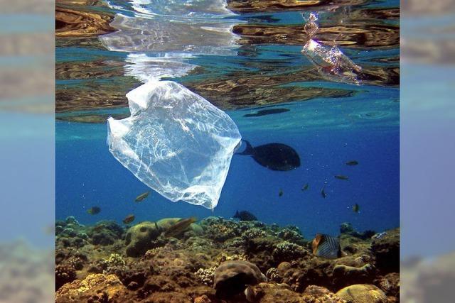 Vor Grnland sinkt der Plastikmll in die Tiefe