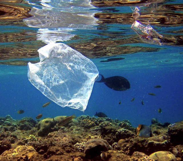Plastikmll im Meer &#8211; und zwar weltweit  | Foto: dpa