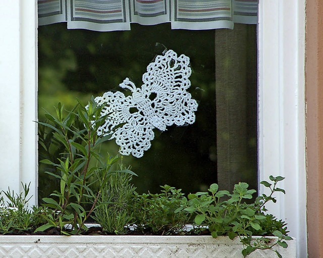 Aktion Schmetterlingsblumen statt Geranien   | Foto: Petra Wunderle