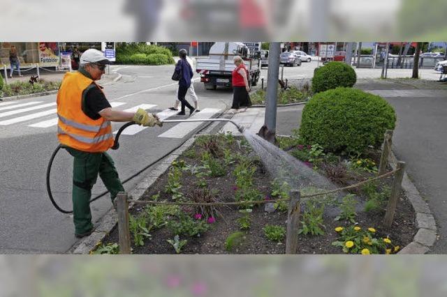 Blumengieen, das ist ein Vollzeitjob