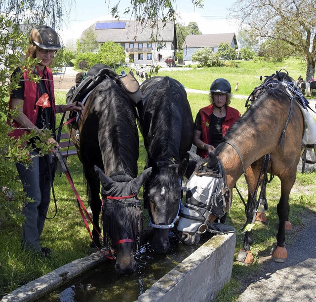 Nach einer langen Reise erfrischte das...n die Pferde eine Gruppe aus Minzeln.   | Foto: Stefan Pichler