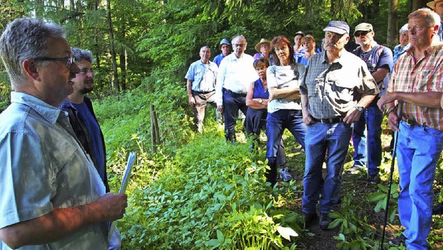 Revierfrster Gerd Fricker und Projekt...hen Aufwertung des Degerfelder Walds.   | Foto: Boris Burkhardt