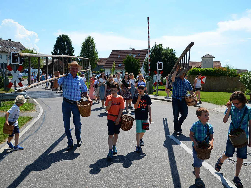 Kirschenfest in Knigschaffhausen: Kirschenpflcker mit Leitern und Kindern beim Festumzug.