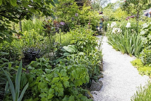 Entdeckungen im Garten