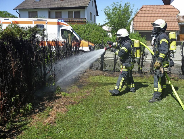 Weitgehend kahl ist die Thujahecke, au...Unkrautbekmpfung bergegriffen hatte.  | Foto: Feuerwehr Rheinhausen