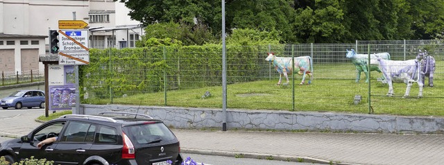 Durch die Bahnunterfhrung Milkastrae...en. Sie beginnen am nchsten Dienstag.  | Foto: Peter Gerigk