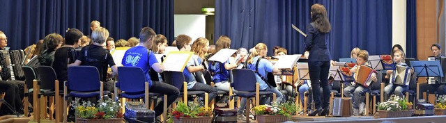 Der Handharmonika-Club Bad Krozingen bei seinem Jahreskonzert  | Foto: Privat