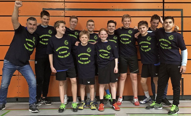 Die C-Jugend des TV Gundelfingen ist Bezirksmeister im Handball geworden.   | Foto: Privat