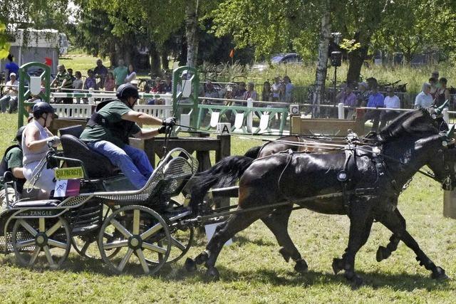 Die Vielfalt des Pferdesports bei Weisweils Reit- und Zuchtverein