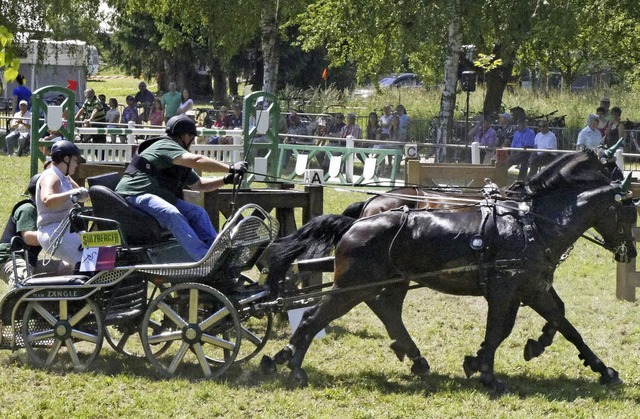 Pferdesport ist am Wochenende in Weisweil zu sehen.  | Foto: ArchivFoto: Hge
