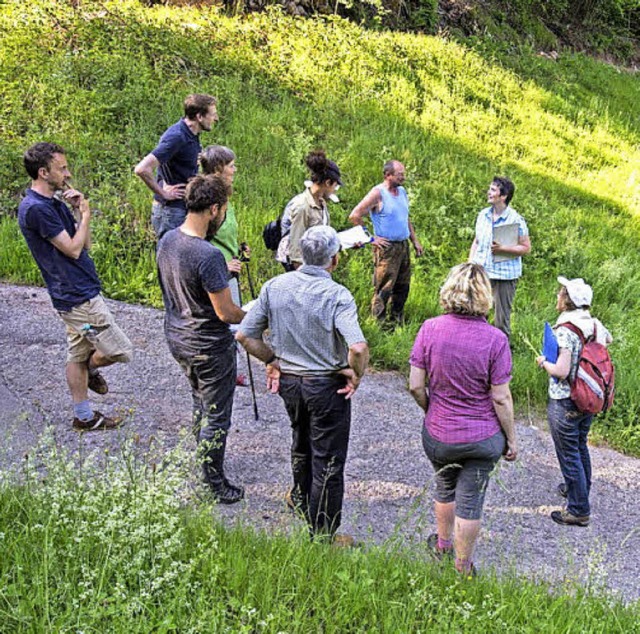 Wiesenmeisterschaft im Kleinen Wiesental.  | Foto: Sebastian Schrder-Esch