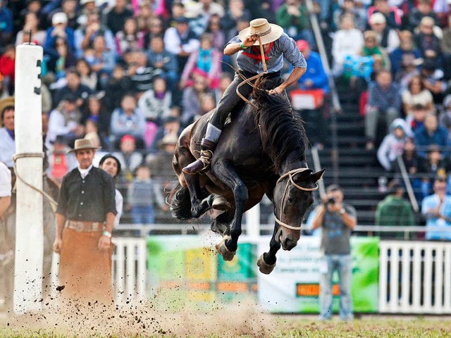 Ein Gaucho zeigt auf einer Fiesta in Uruguay sein Knnen.   | Foto: dpa