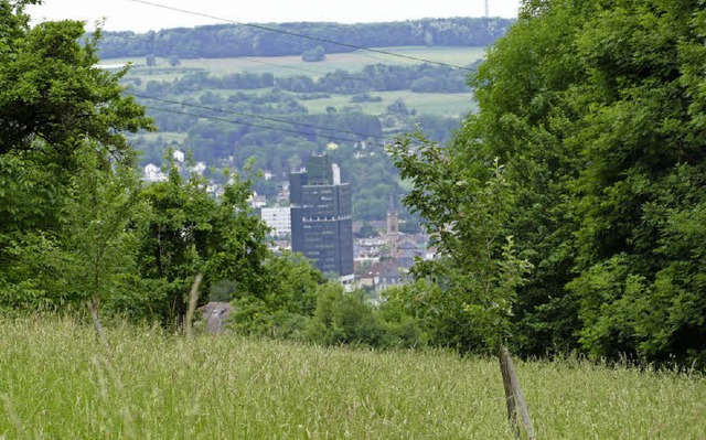 <ppp> </ppp>im Westen davon sind der T...r neue Bebauungsplan aufgestellt wird.  | Foto: Peter Gerigk