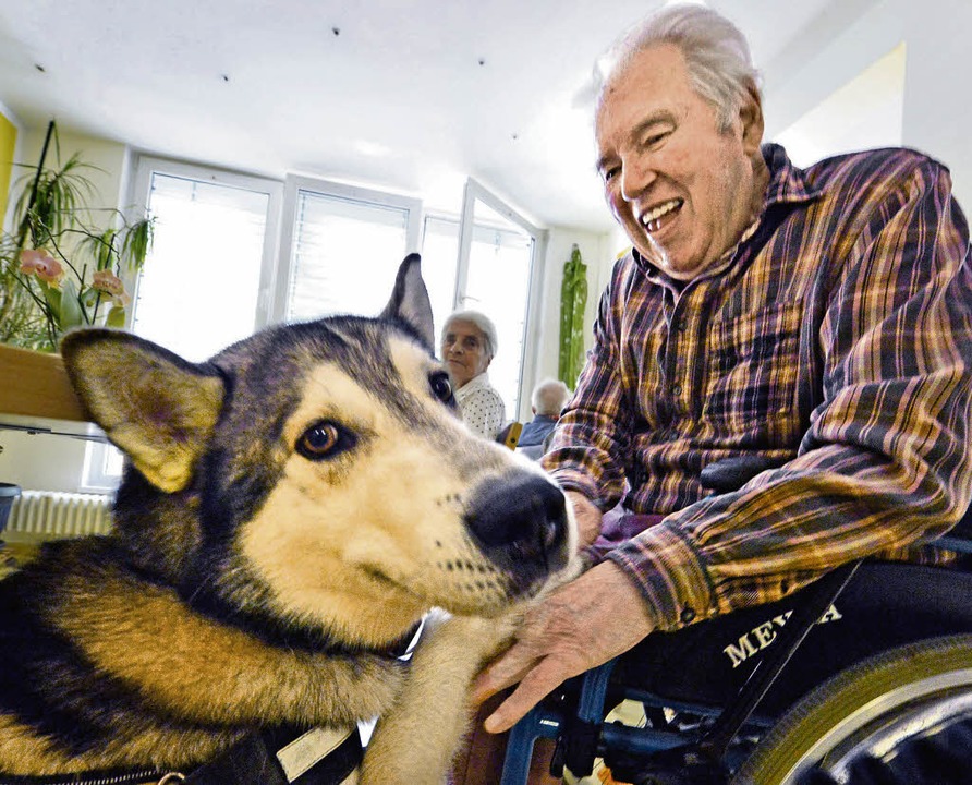 Besuch von Hund und Hase Liebe &amp; Familie Badische Zeitung