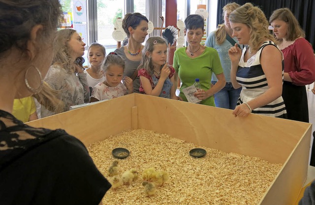 Auch Melanie Boll, die Klassenlehrerin... wenigen Tagen geschlpften Kken gab.  | Foto: Erhard Morath