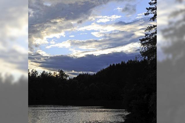 Schwarzer See im schwarzen Wald