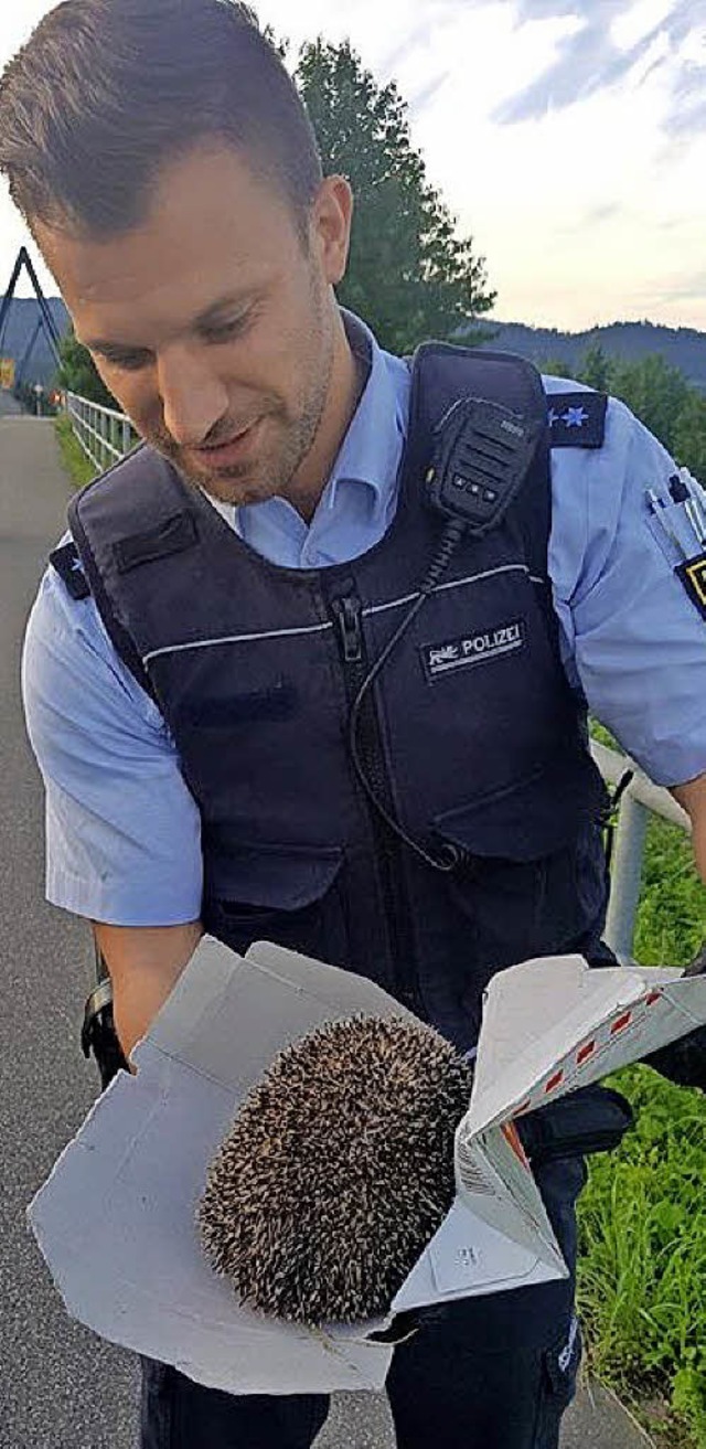 Igel &#8222;Gustav&#8220; mit Helfer   | Foto: Polizei