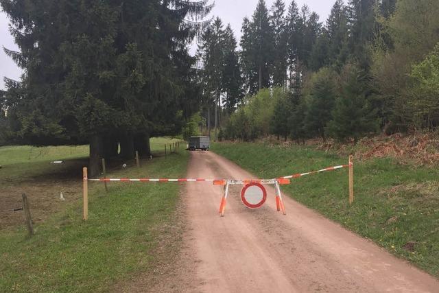Stdtischer Waldweg bleibt Windpark-Lkws versperrt