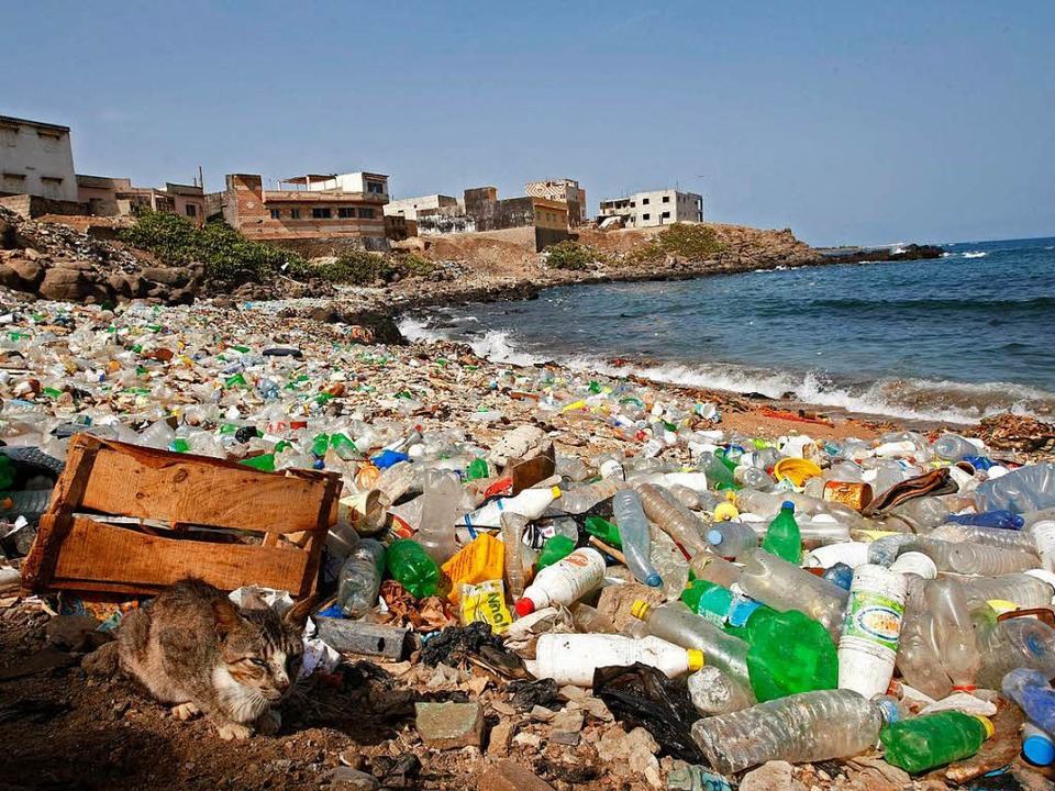 Immer mehr Plastikmüll verschmutzt die...m besten Fall an die Strände gespült.   | Foto: dpa