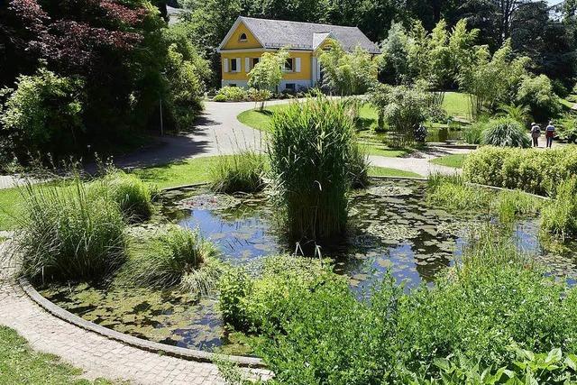 Fotos: So schn ist es jetzt im Botanischen Garten der Uni Freiburg