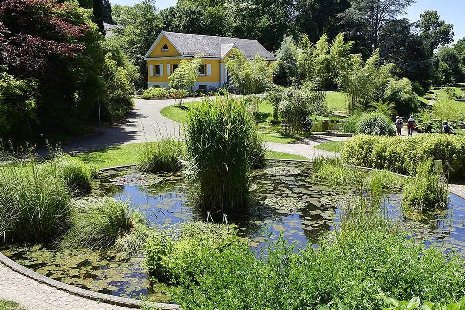 Fotos So Schon Ist Es Jetzt Im Botanischen Garten Der Uni