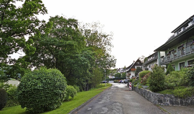 Alte Bume bieten in der Frstenbergst...ommen, dem die Bume weichen mssten.   | Foto: Ralf Morys