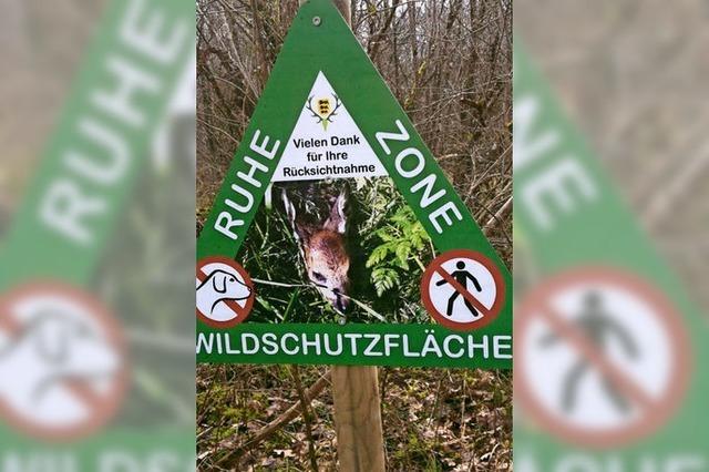 Selbstgebastelte Schilder im Rheinwald irritieren Spaziergänger